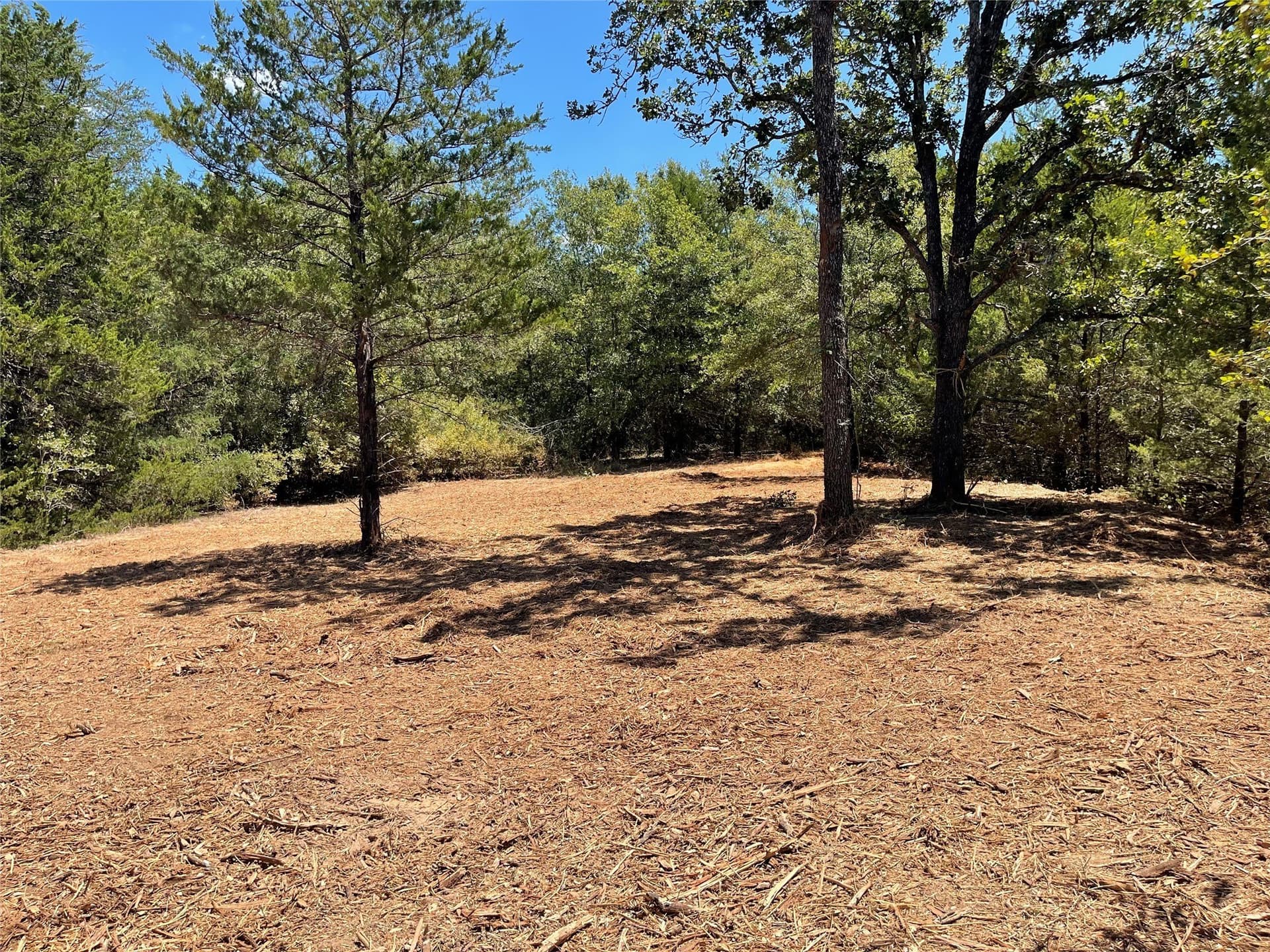 10.63 acres in Freestone County - photo 21