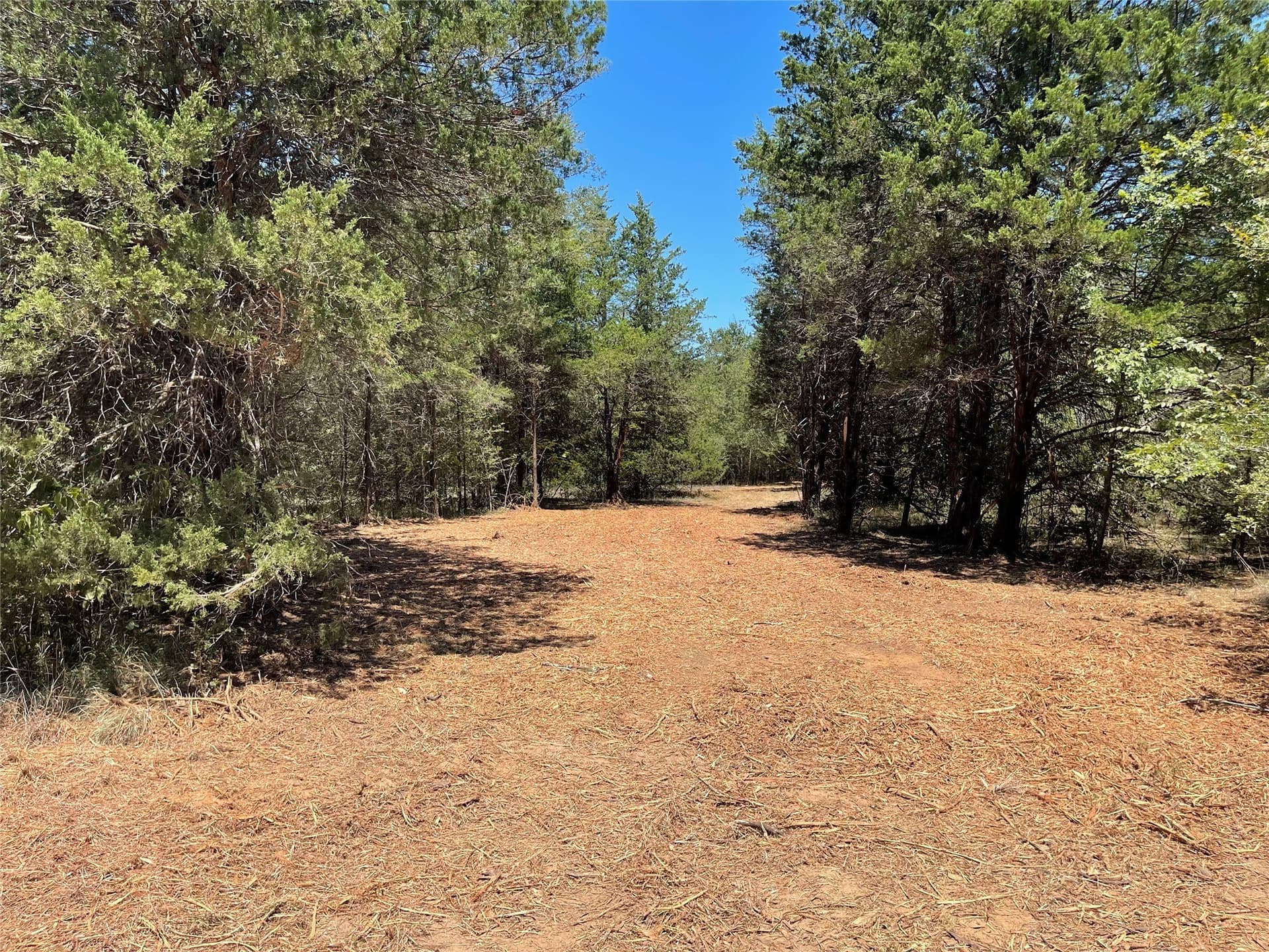 10.63 acres in Freestone County - photo 20