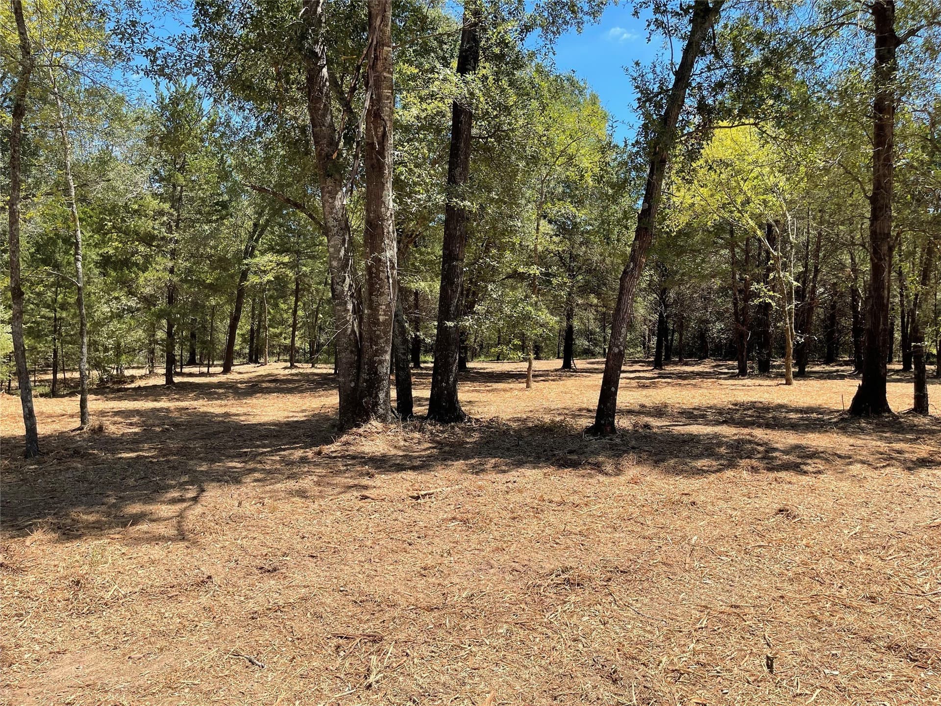 10.63 acres in Freestone County - photo 16