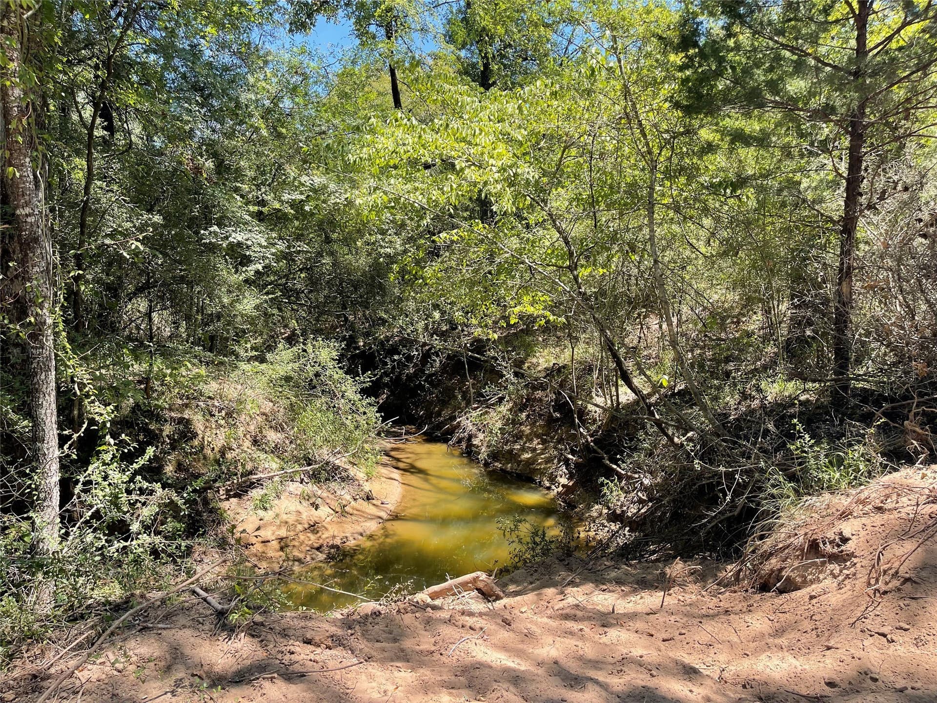 10.63 acres in Freestone County - photo 7