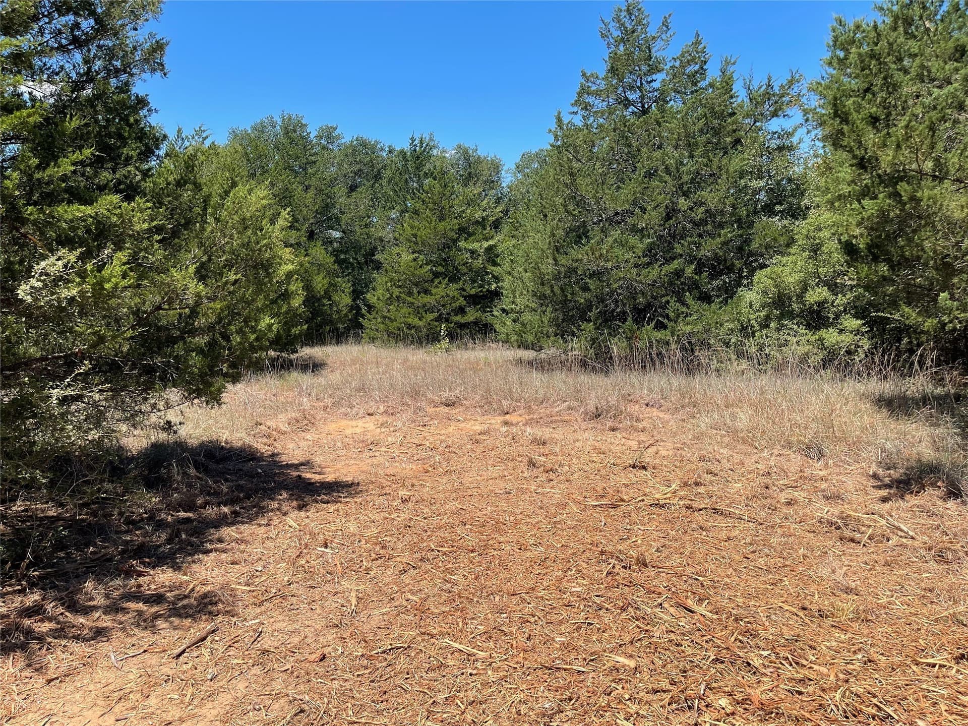 10.63 acres in Freestone County - photo 22