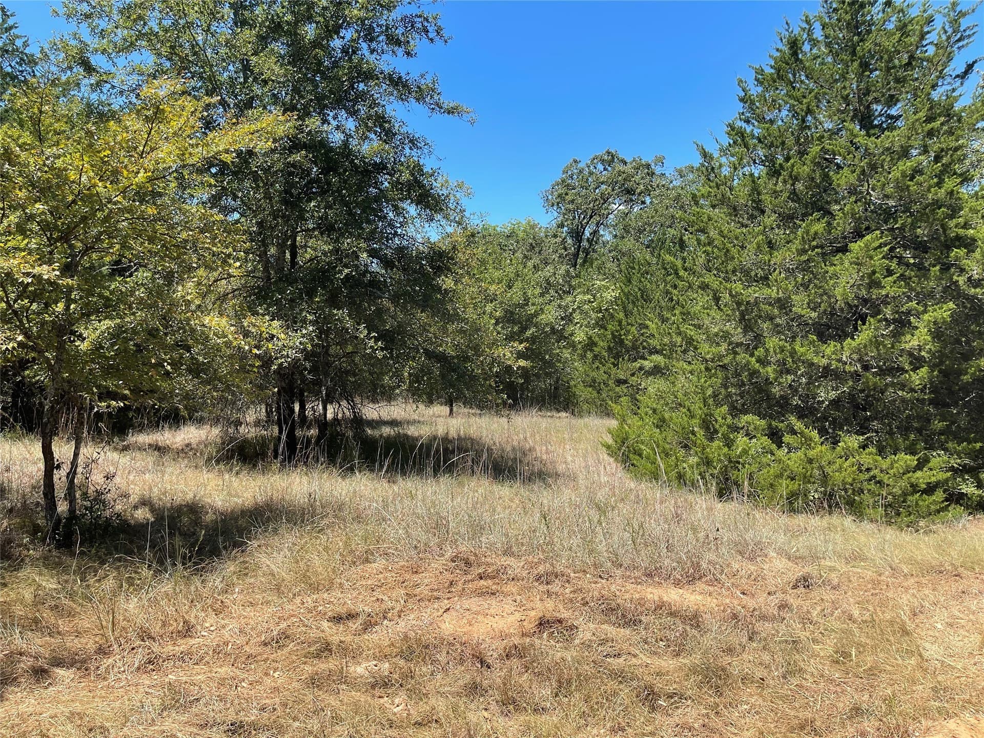 10.63 acres in Freestone County - photo 13