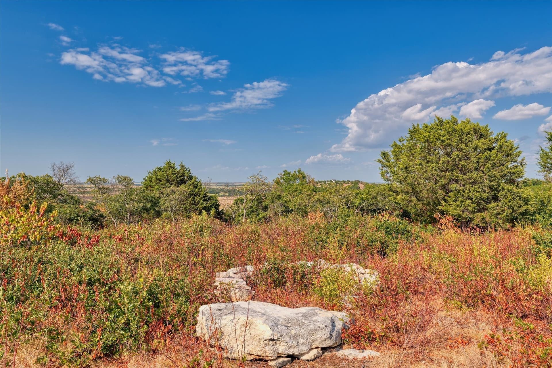 10 acres in Hamilton County - photo 7