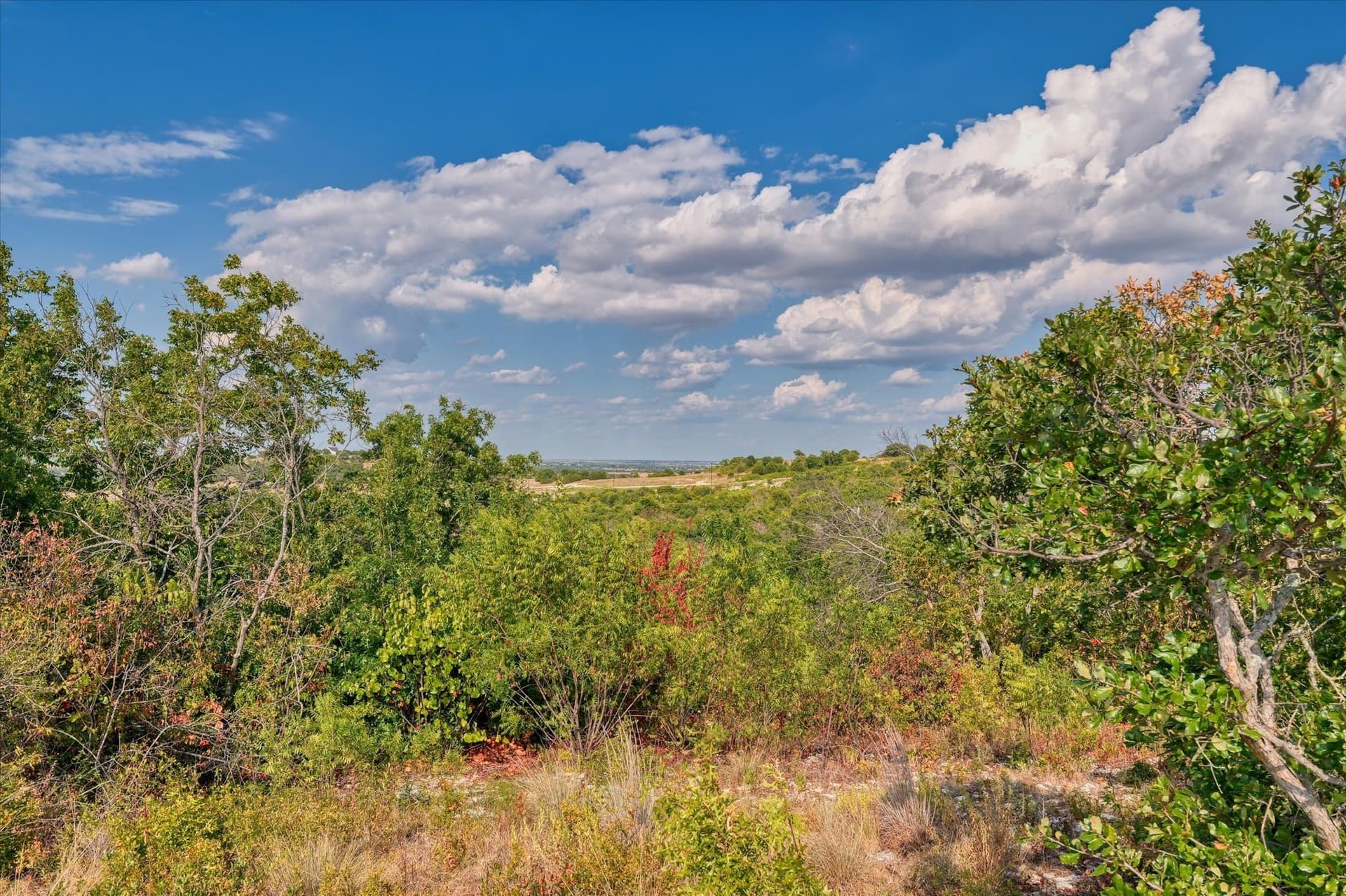 10 acres in Hamilton County - photo 13