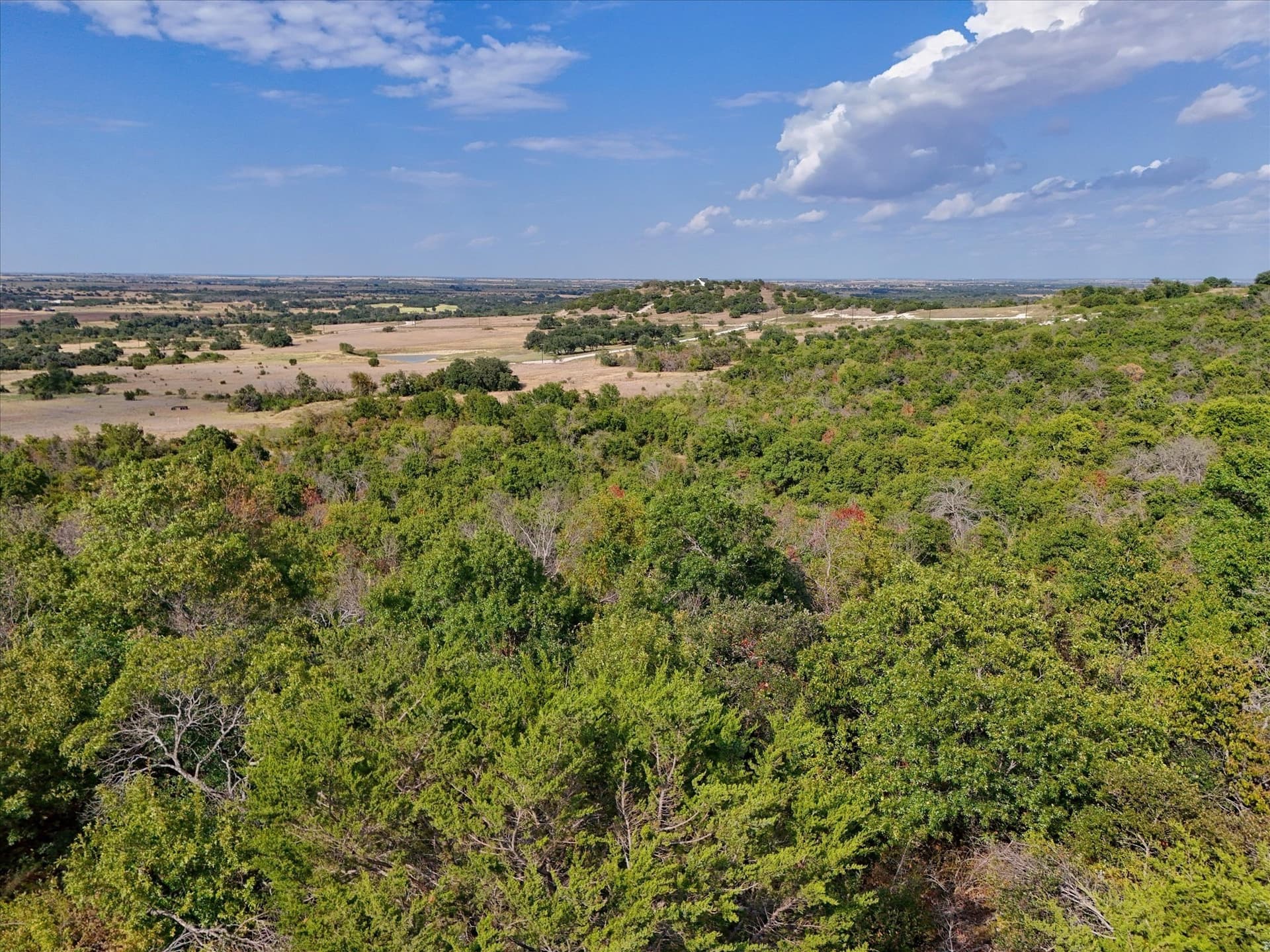 10 acres in Hamilton County - photo 21