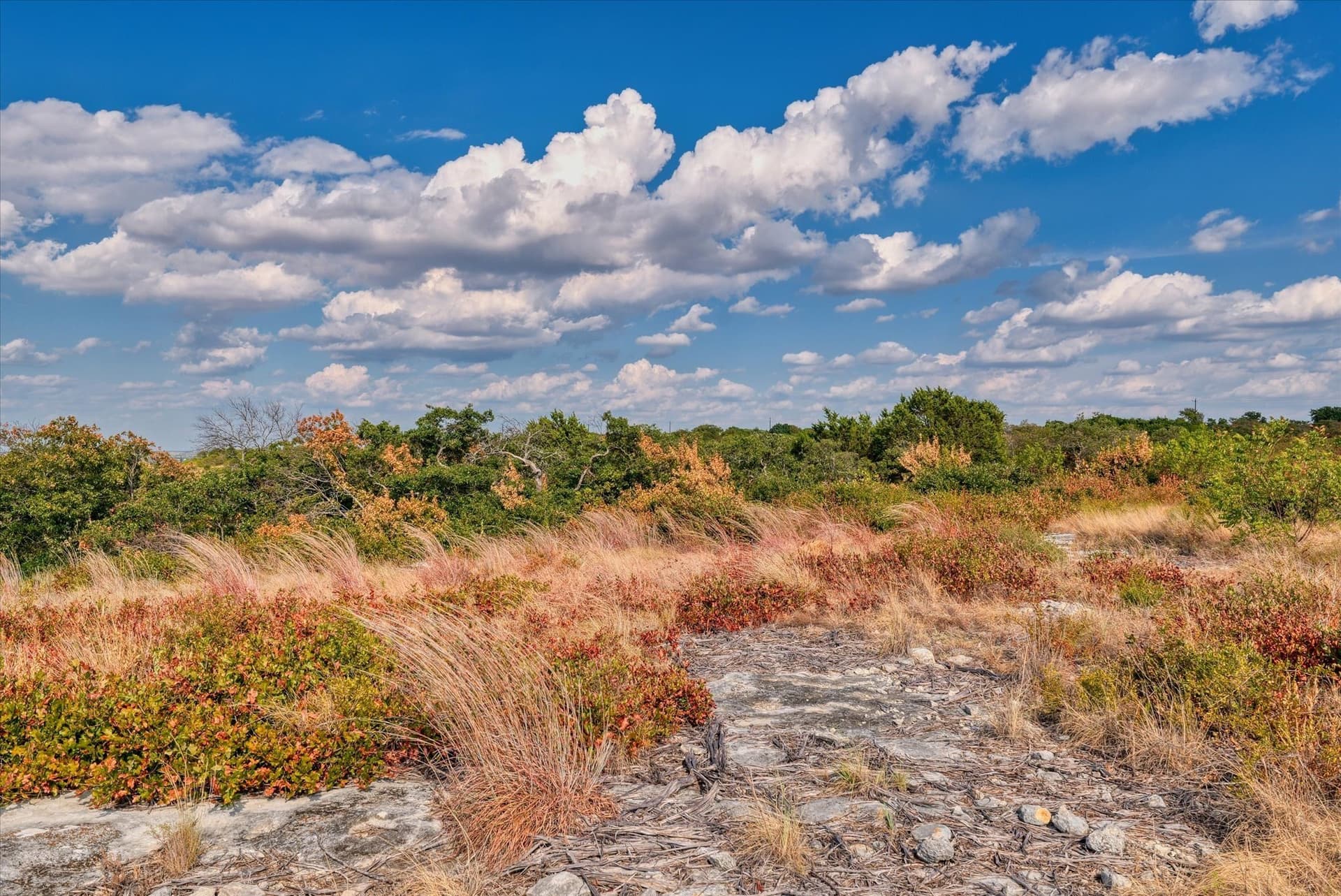 10 acres in Hamilton County - photo 11