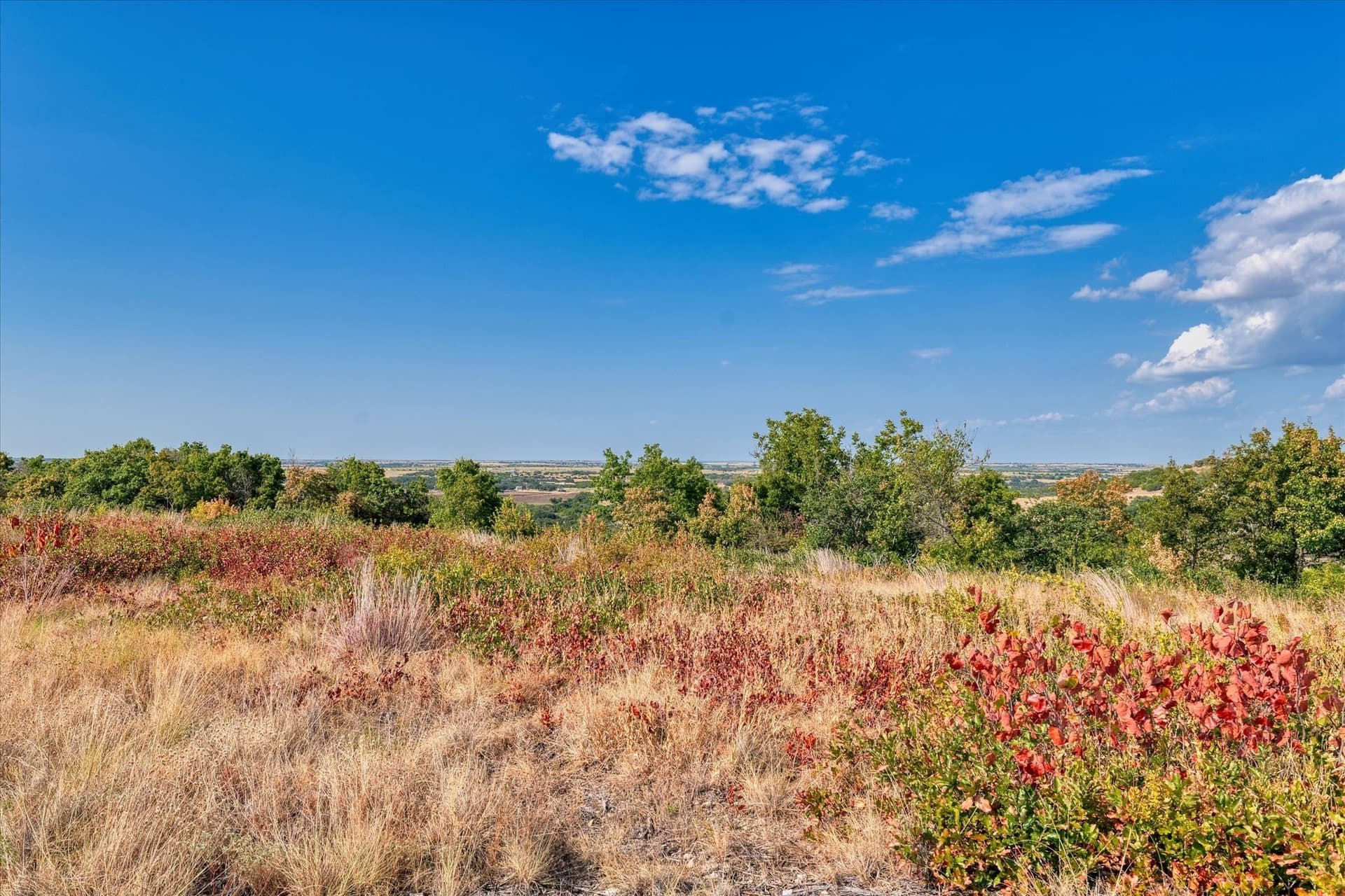 10 acres in Hamilton County - photo 12