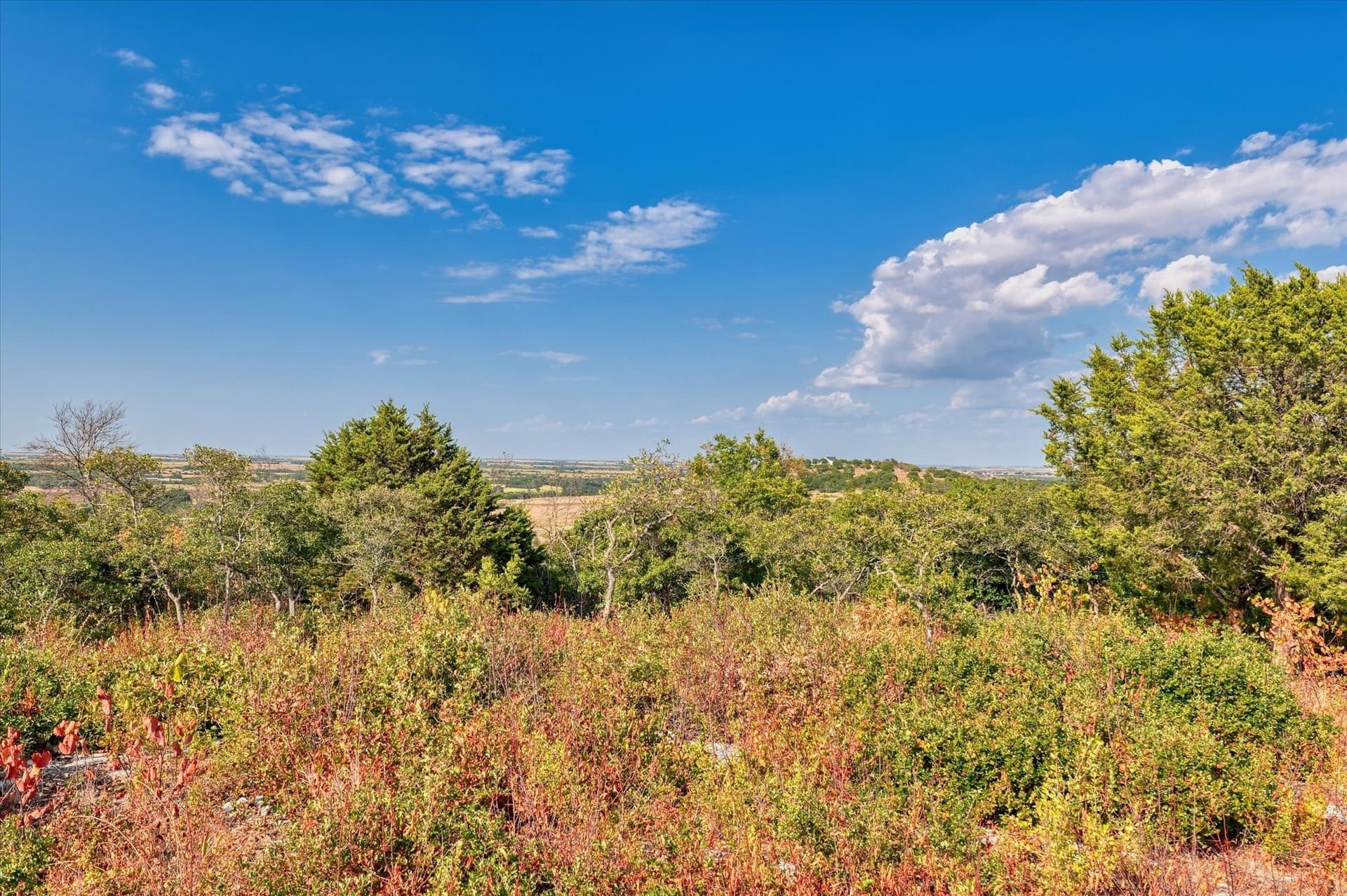 10 acres in Hamilton County - photo 6