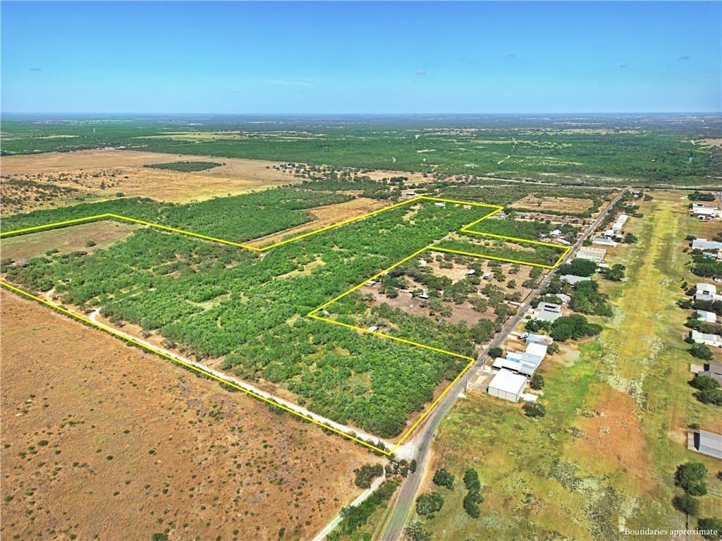 61 acres in Live Oak County - photo 15