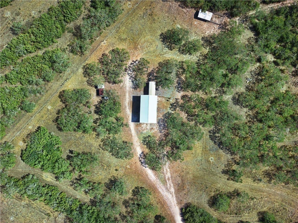 61 acres in Live Oak County - photo 18