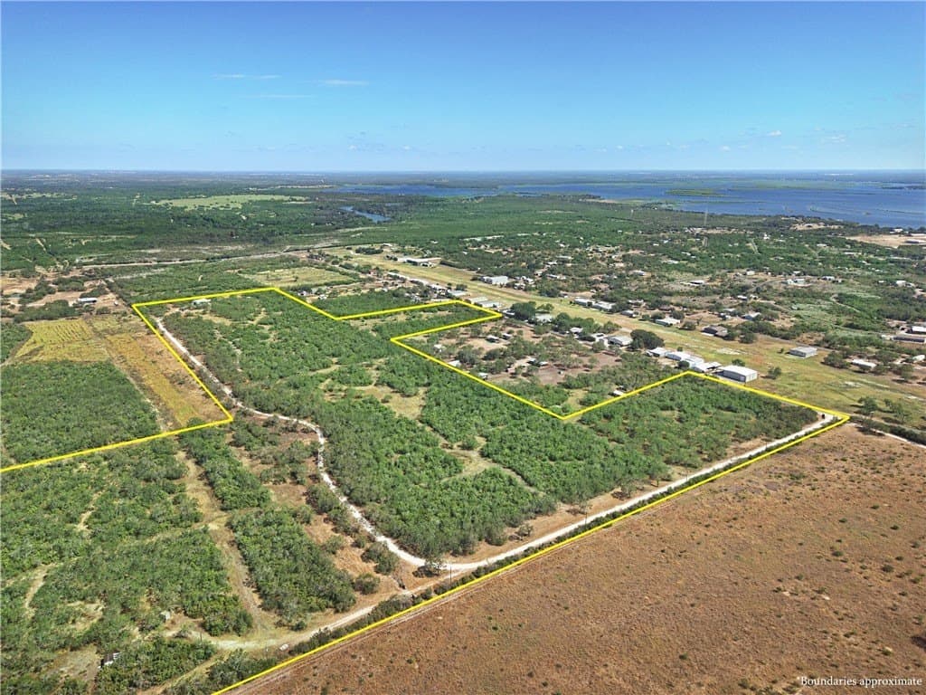 61 acres in Live Oak County - photo 17