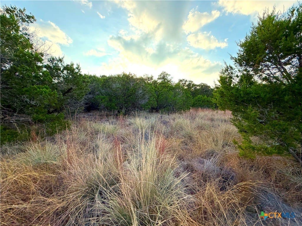 100 acres in Comal County - photo 14