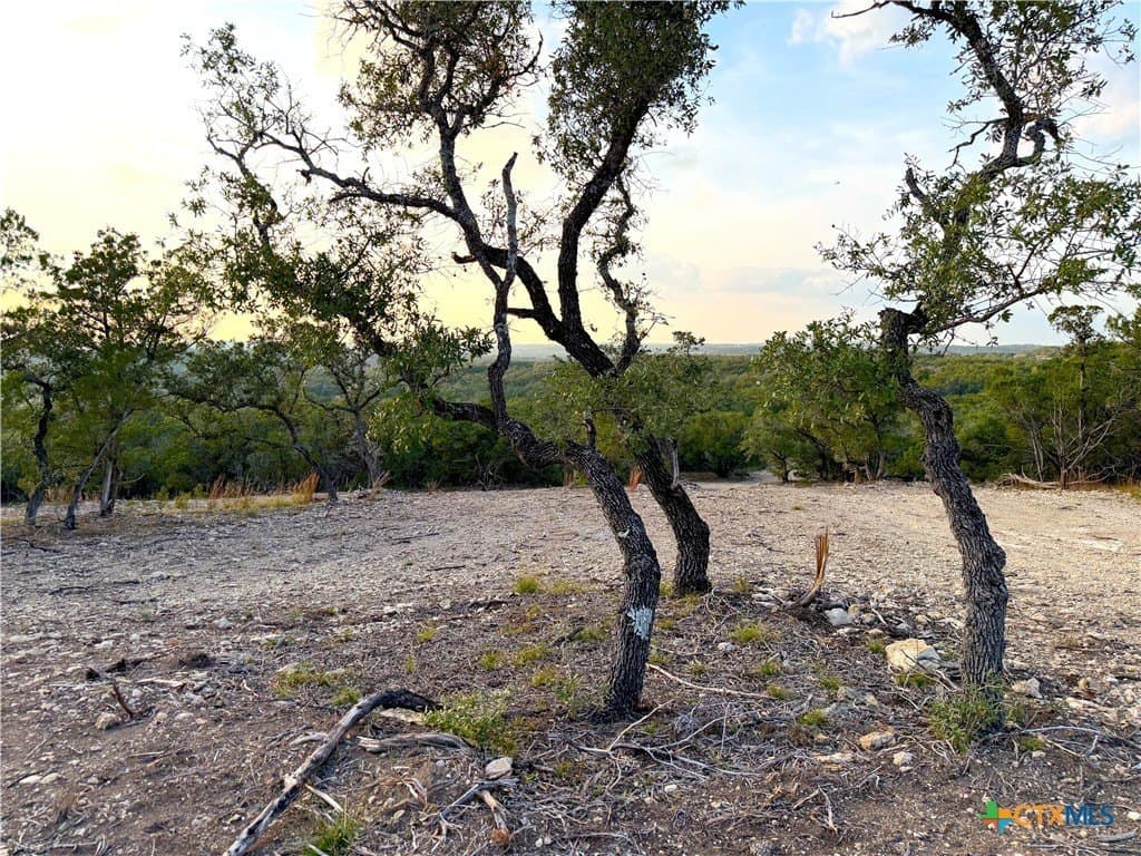 100 acres in Comal County - photo 12