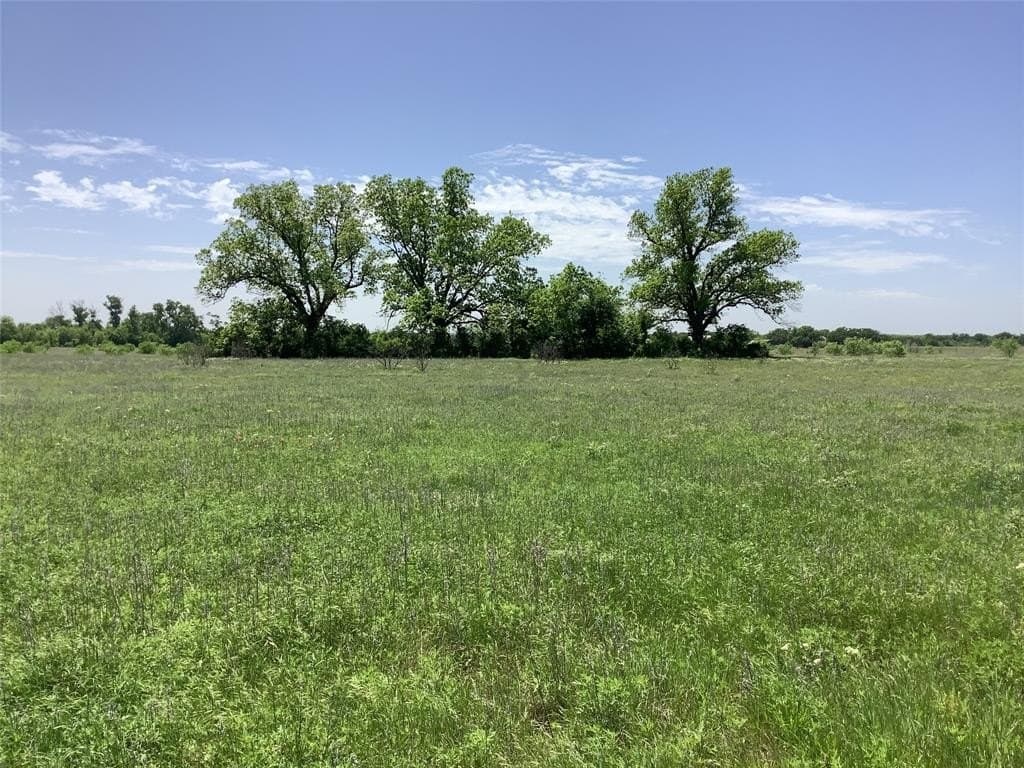 60 acres in Eastland County gallery image 4