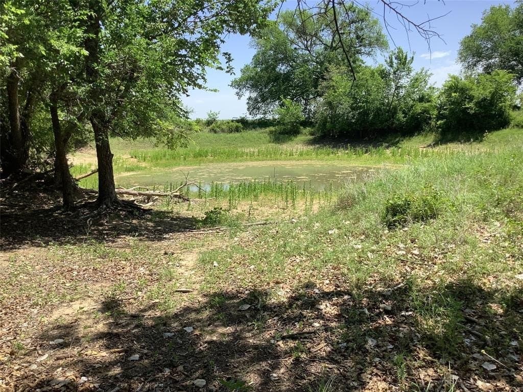 60 acres in Eastland County gallery image 3
