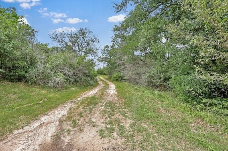2.06 acres in Brazos County - photo 2