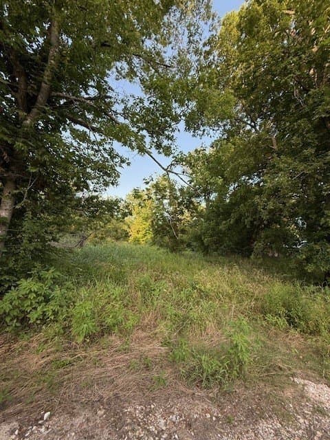 0.44 acres in Lamar County - photo 7