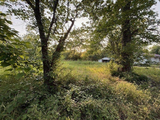 0.44 acres in Lamar County featured view