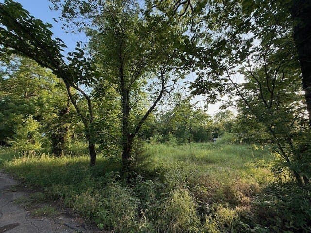 0.44 acres in Lamar County gallery image 4