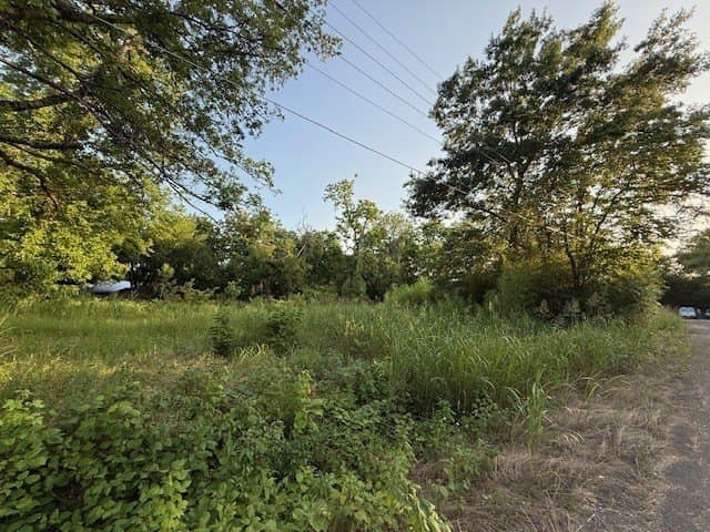 0.44 acres in Lamar County gallery image 3
