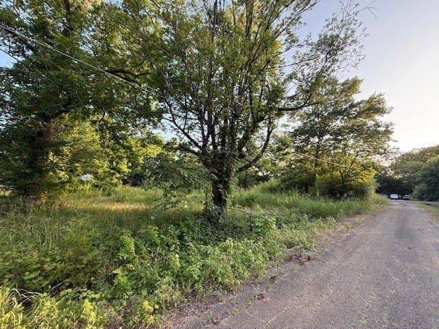 0.44 acres in Lamar County gallery image 2