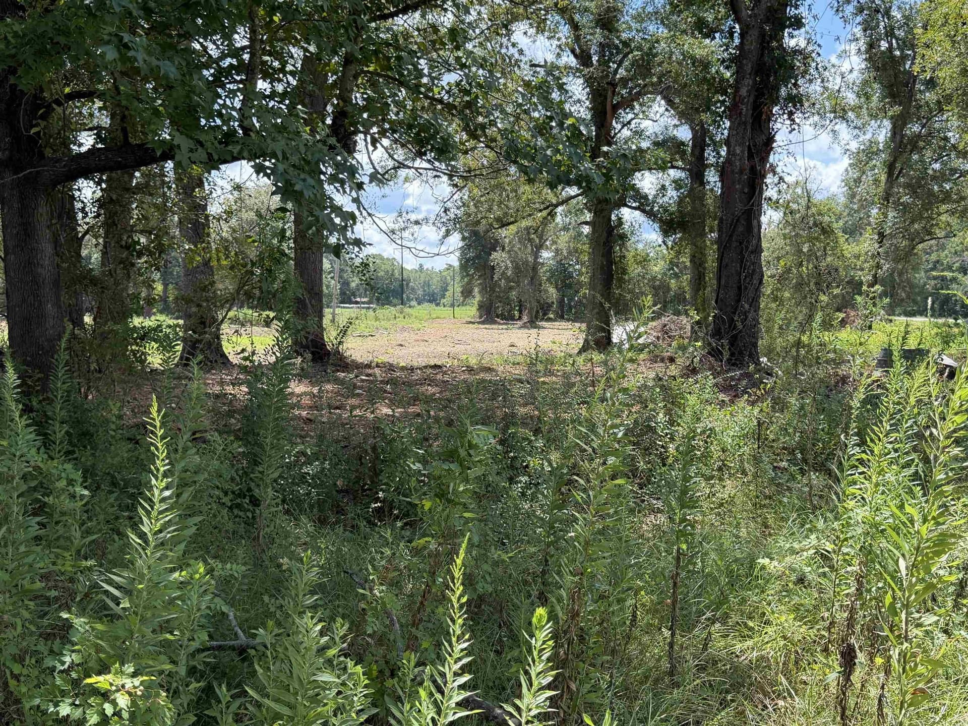 17.54 acres in Texas County - photo 10