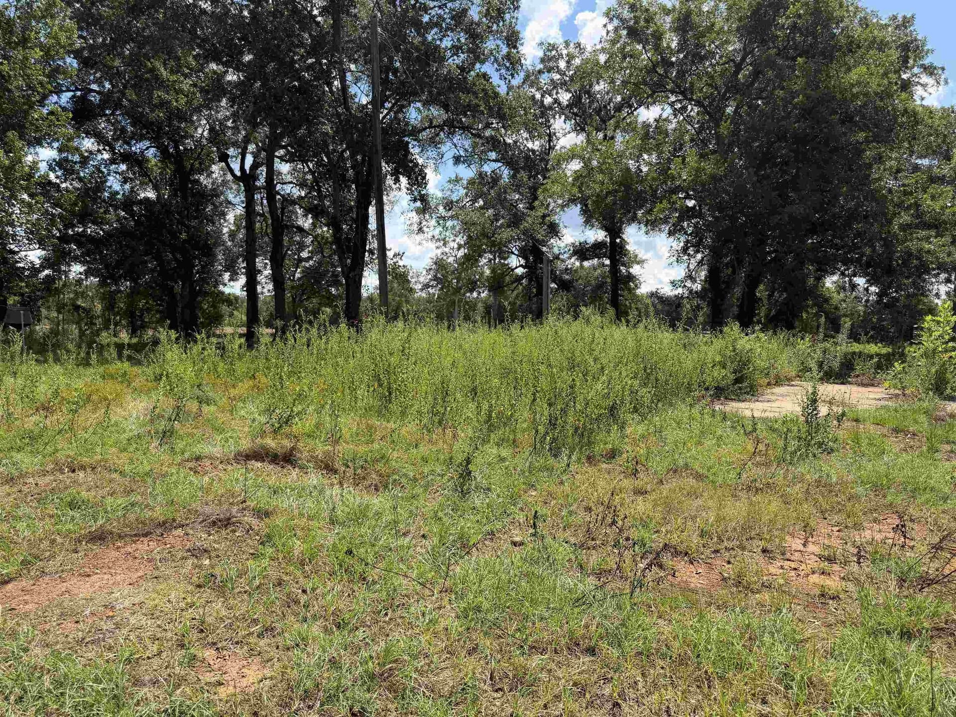 17.54 acres in Texas County - photo 13
