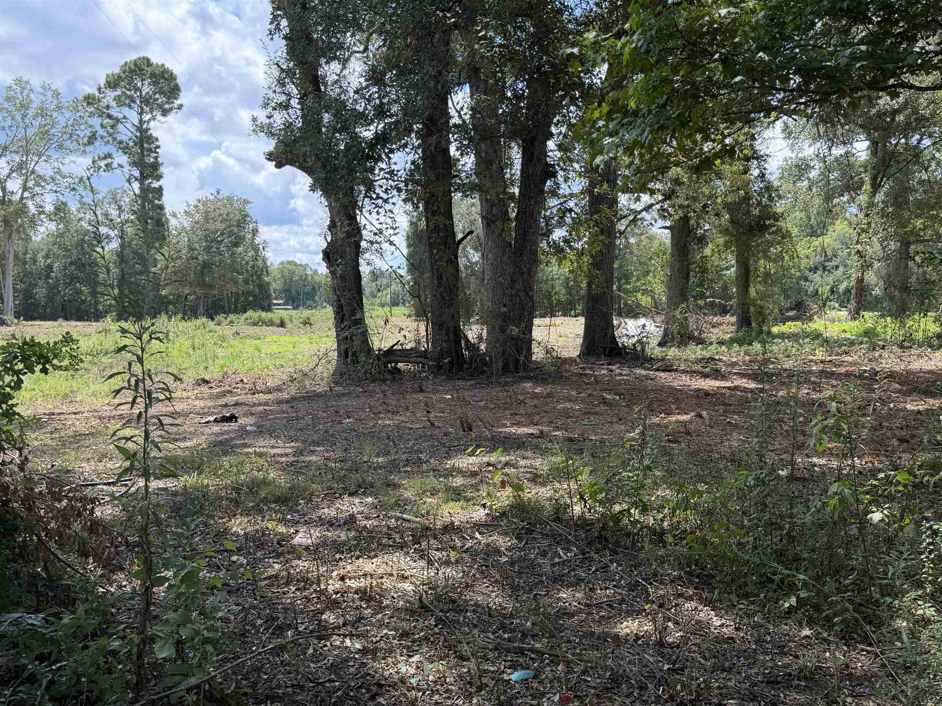 17.54 acres in Texas County - photo 7