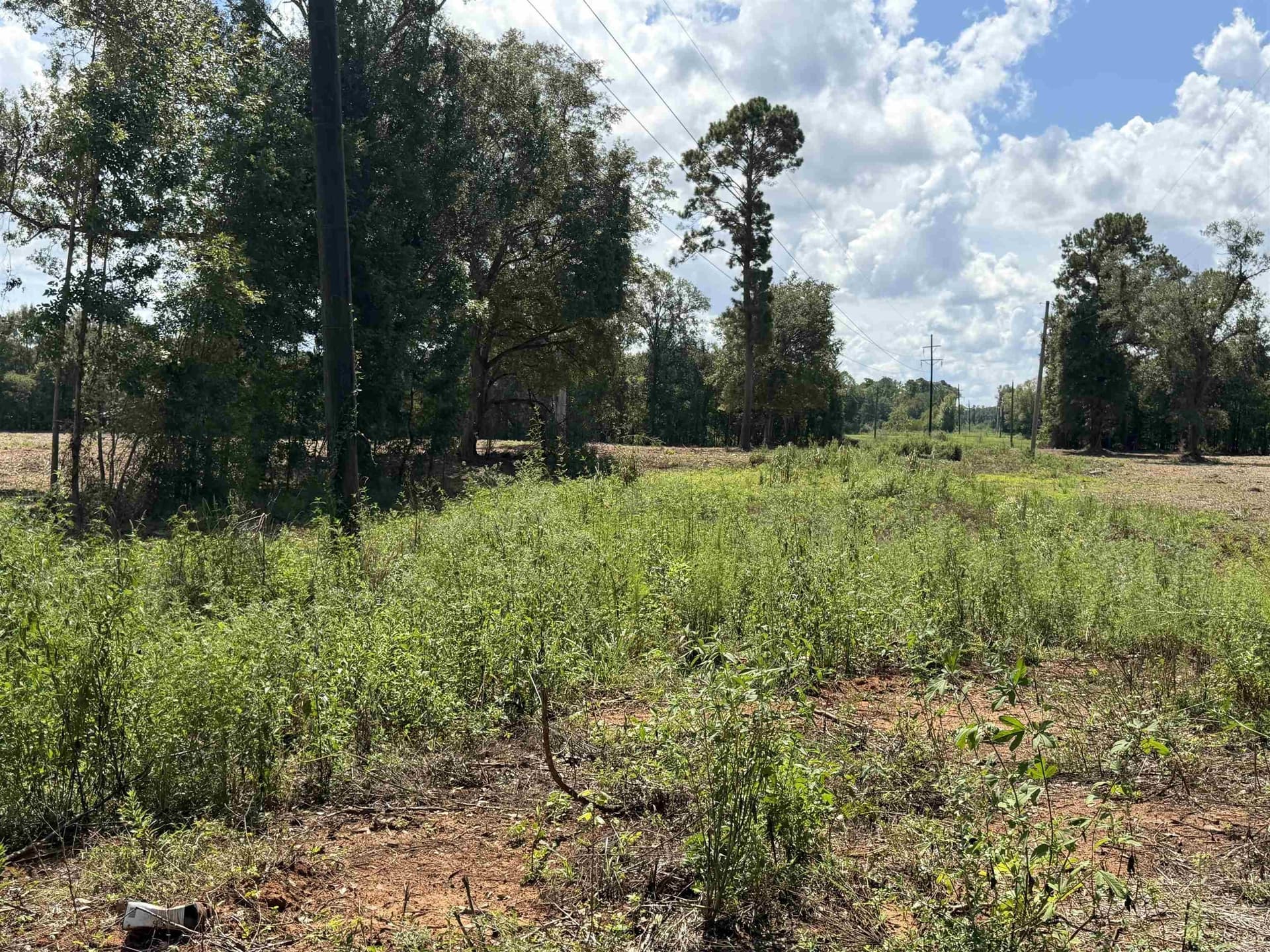 17.54 acres in Texas County - photo 6