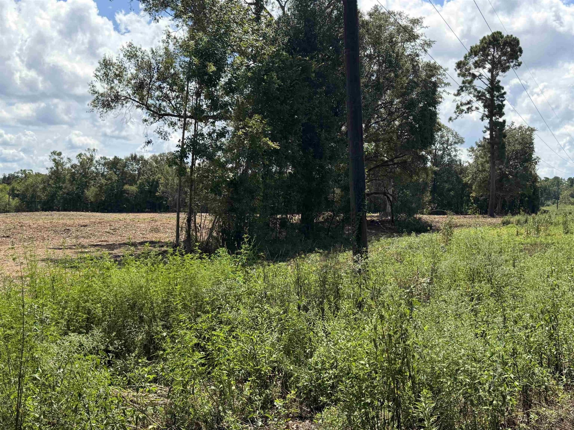 17.54 acres in Texas County - photo 11
