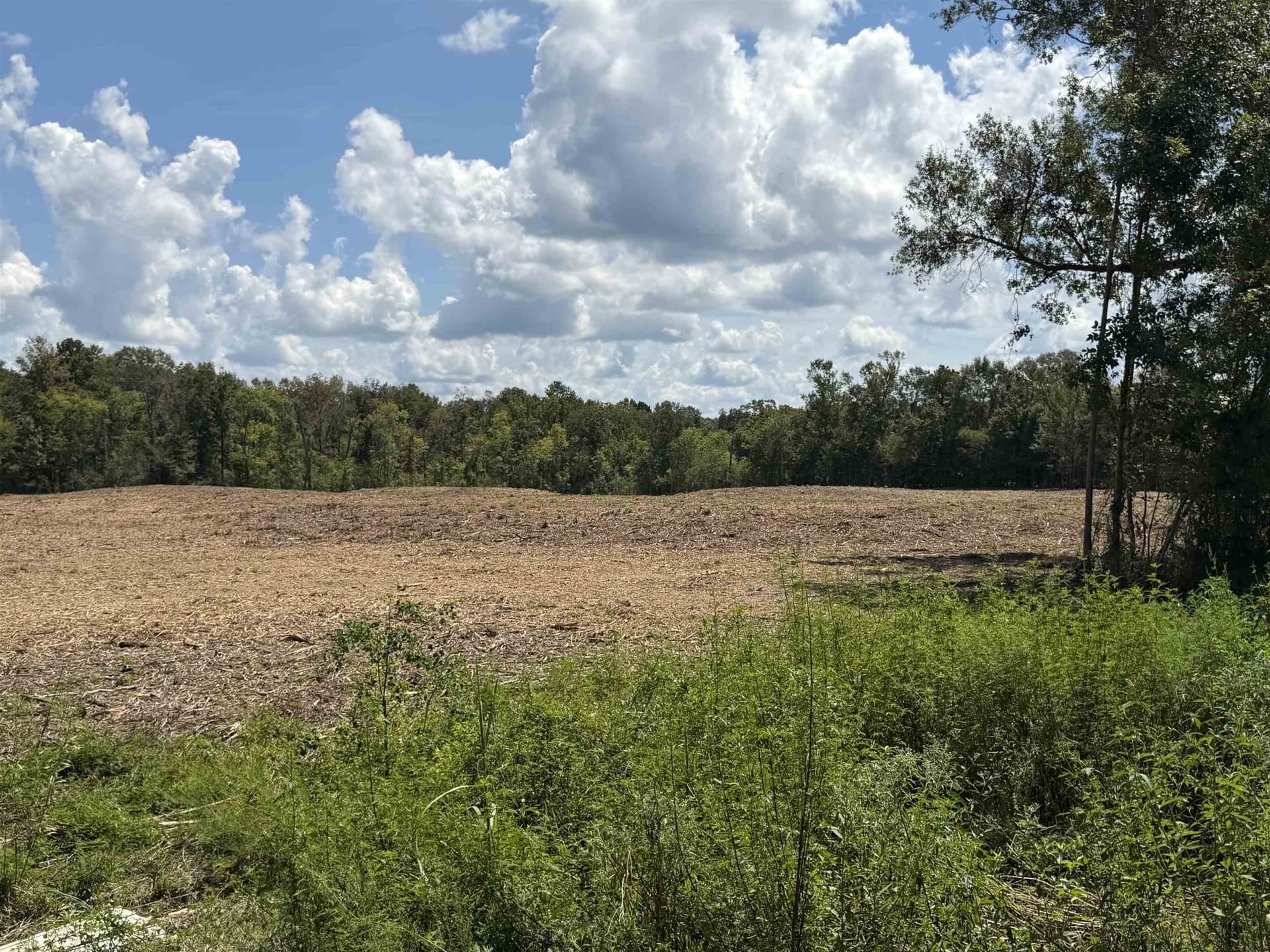17.54 acres in Texas County - photo 3