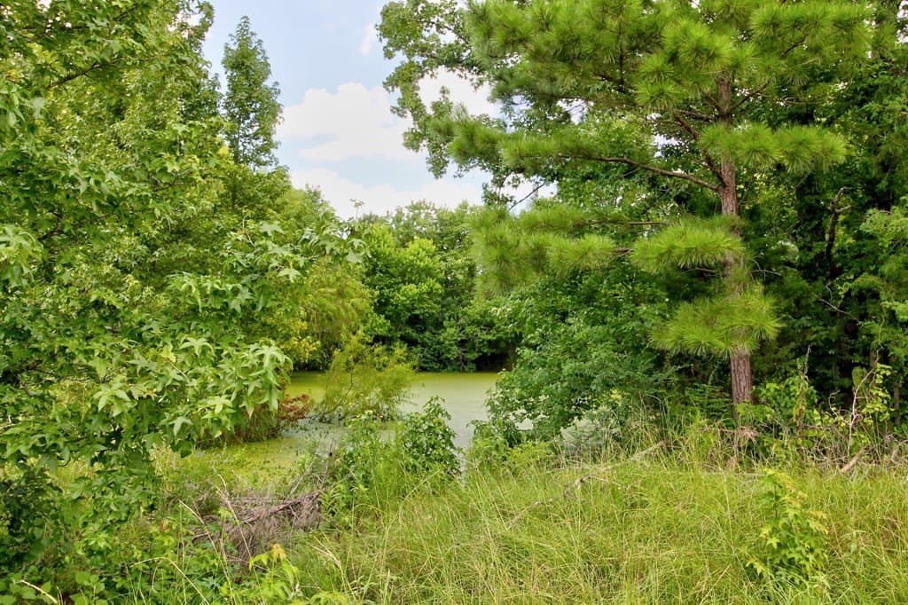 23.89 acres in Texas County featured view