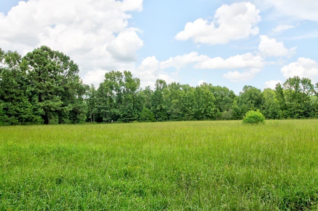 23.89 acres in Texas County gallery image 3