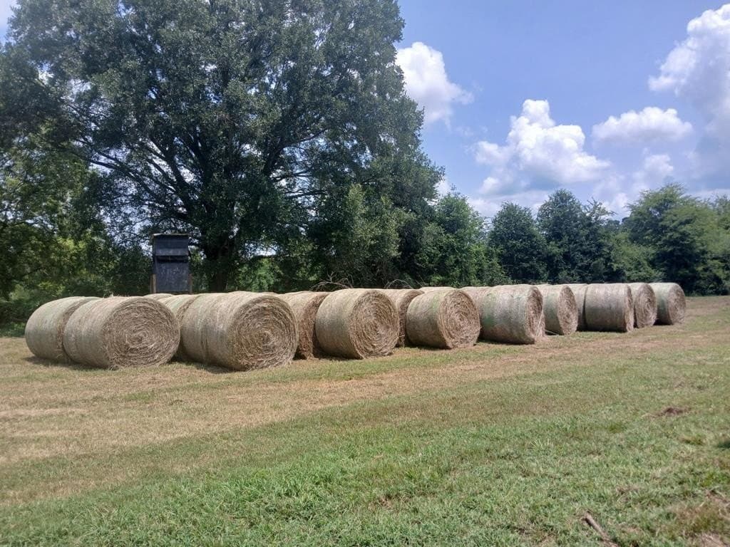 23.89 acres in Texas County gallery image 2