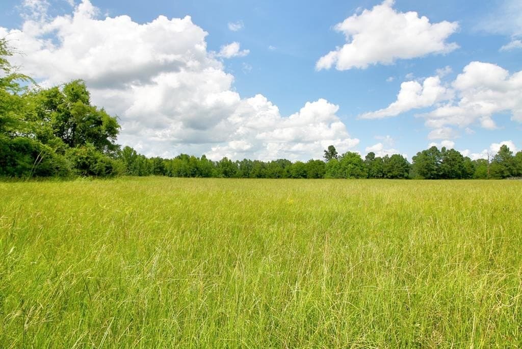23.89 acres in Texas County