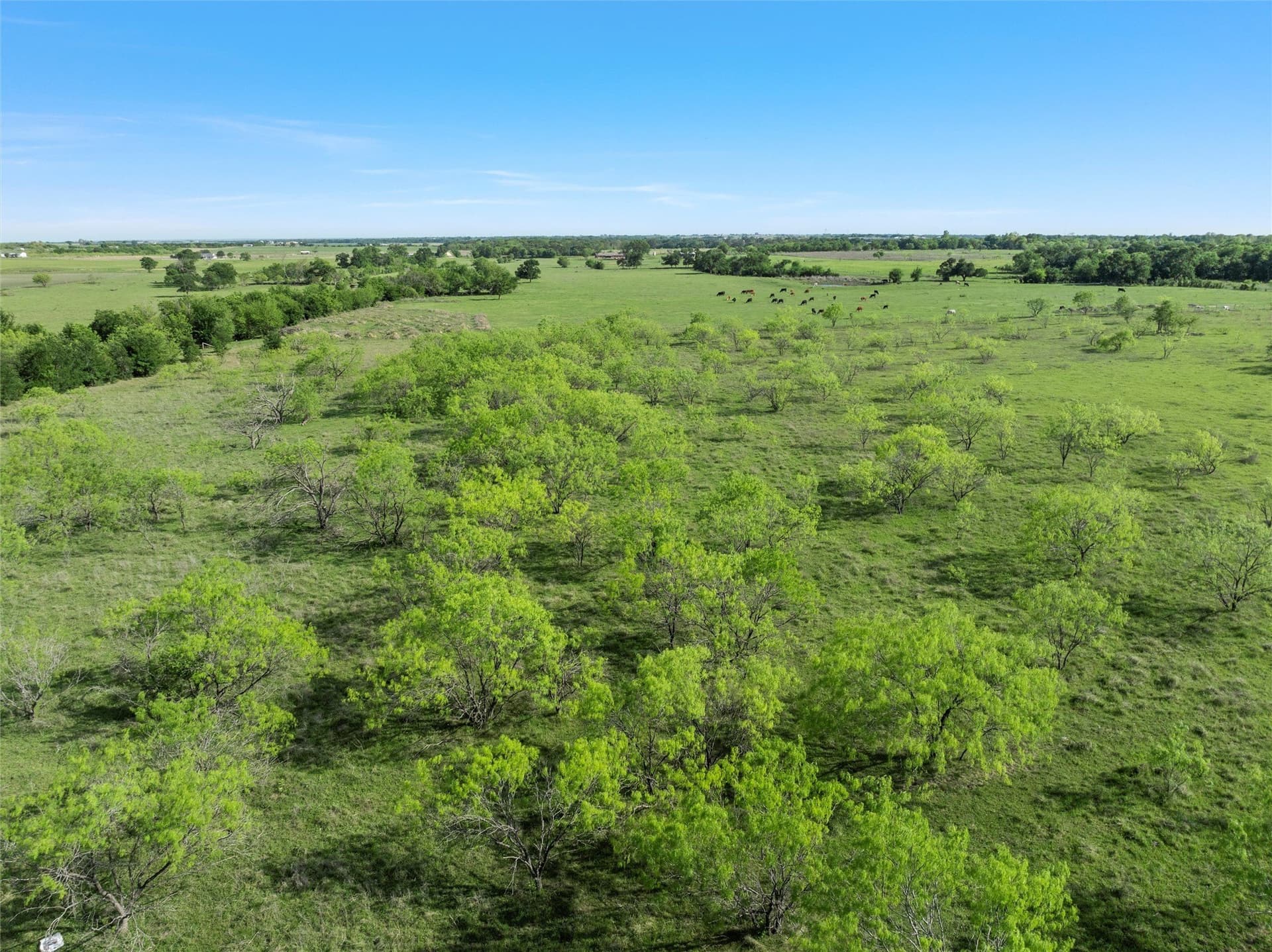 23 acres in McLennan County - photo 15