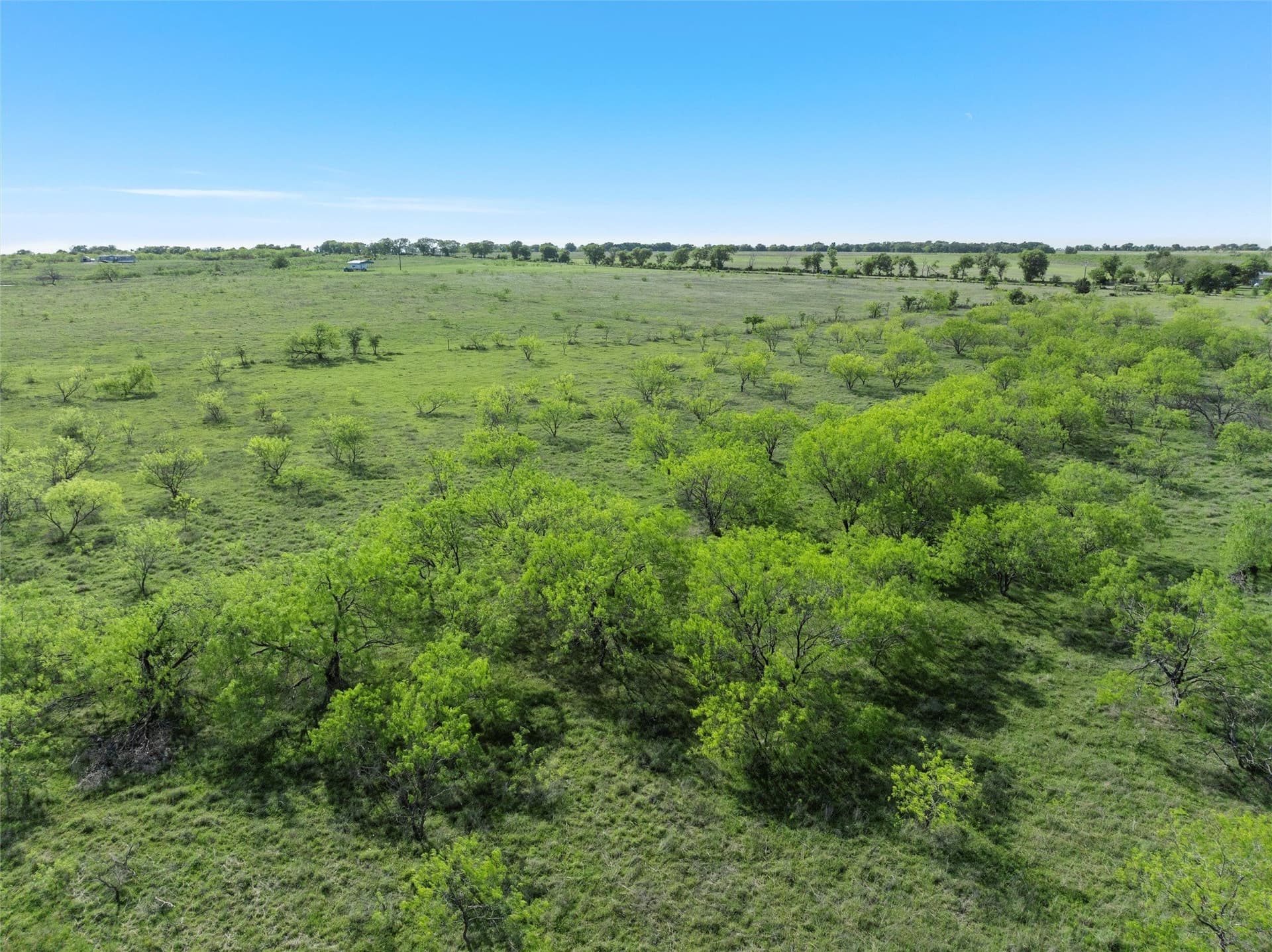 23 acres in McLennan County - photo 16