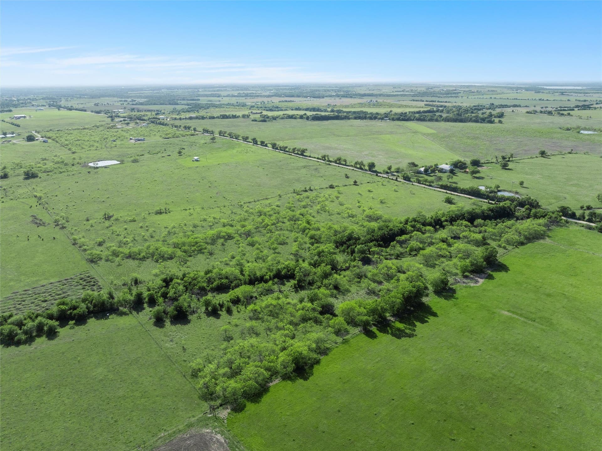23 acres in McLennan County - photo 9