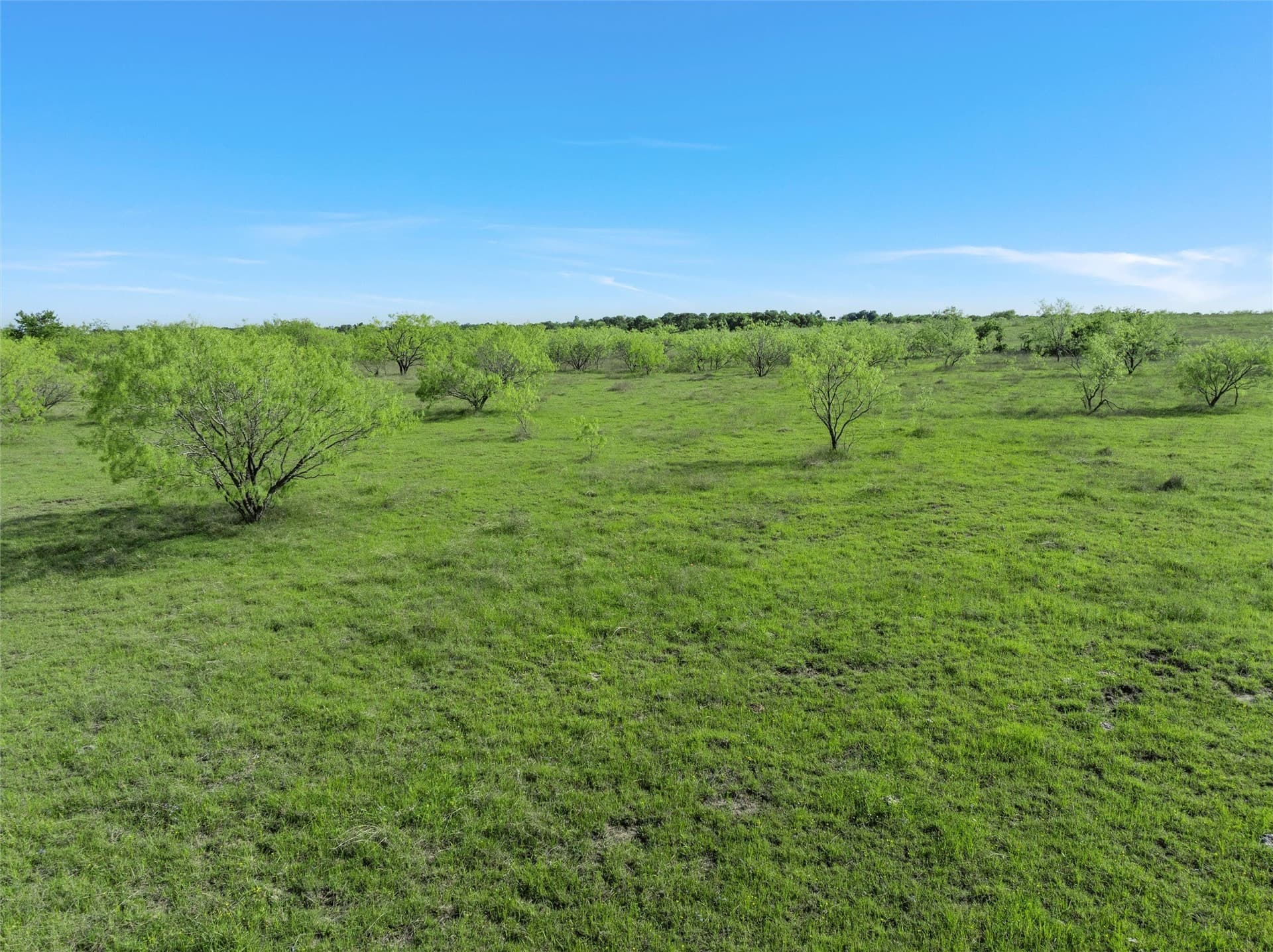 23 acres in McLennan County - photo 13
