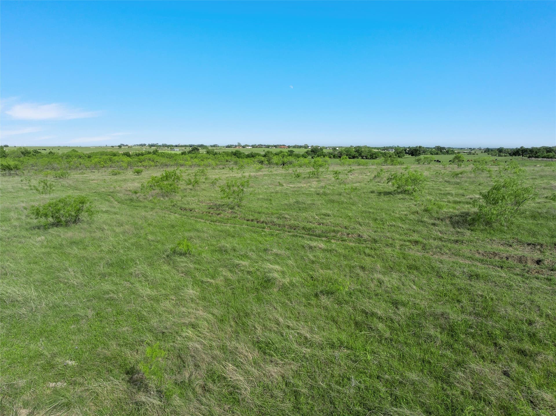 23 acres in McLennan County - photo 12