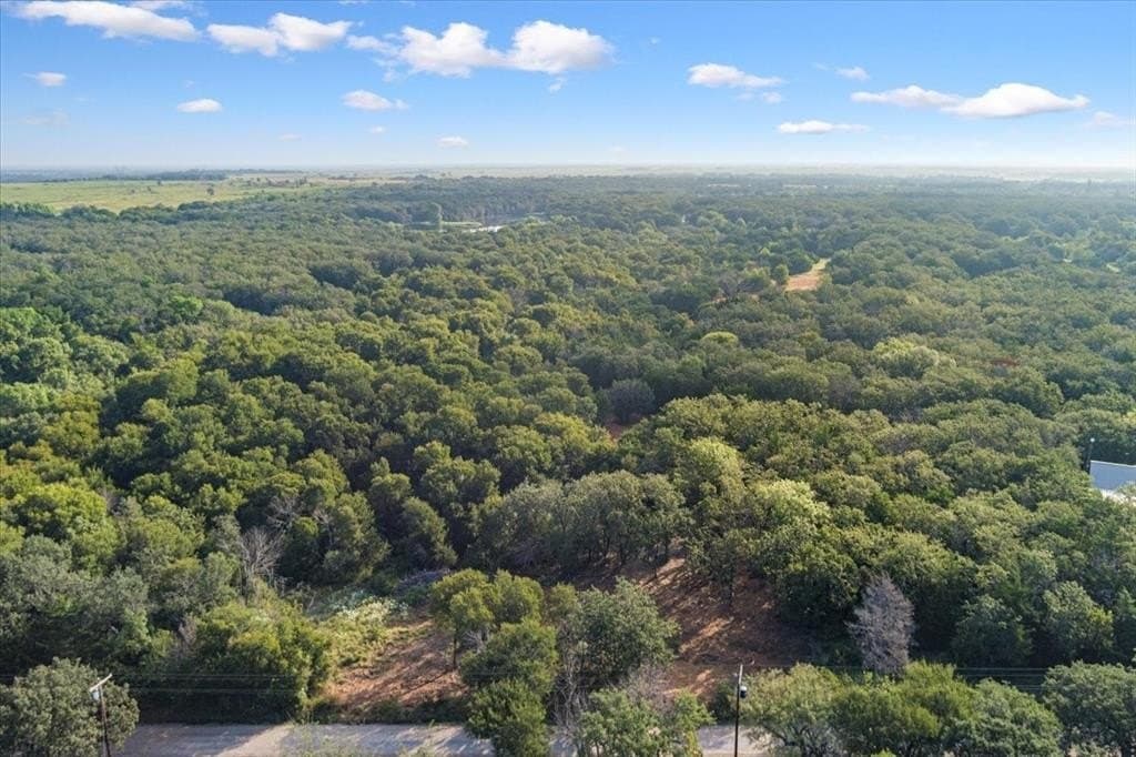 16.36 acres in McLennan County gallery image 3