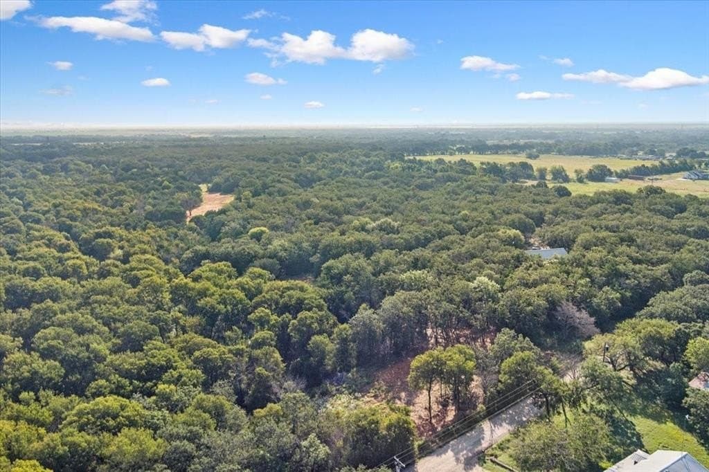 16.36 acres in McLennan County gallery image 2