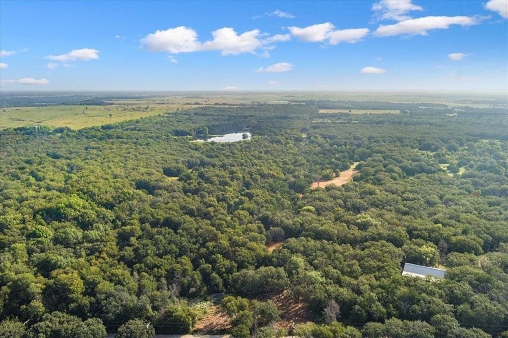 16.36 acres in McLennan County gallery image 4