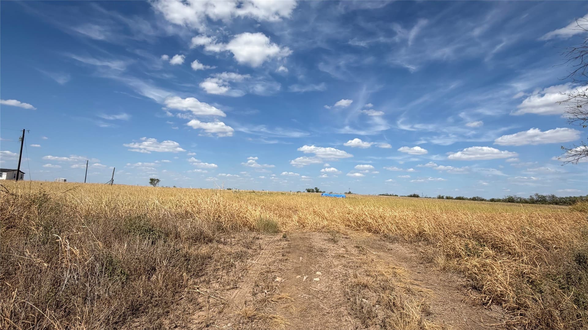 3.88 acres in Shackelford County - photo 4