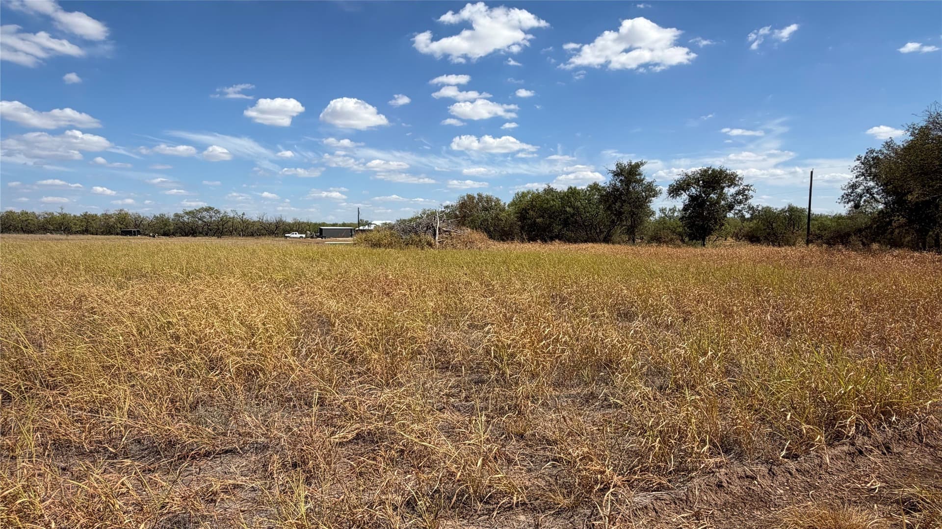 3.88 acres in Shackelford County - photo 5