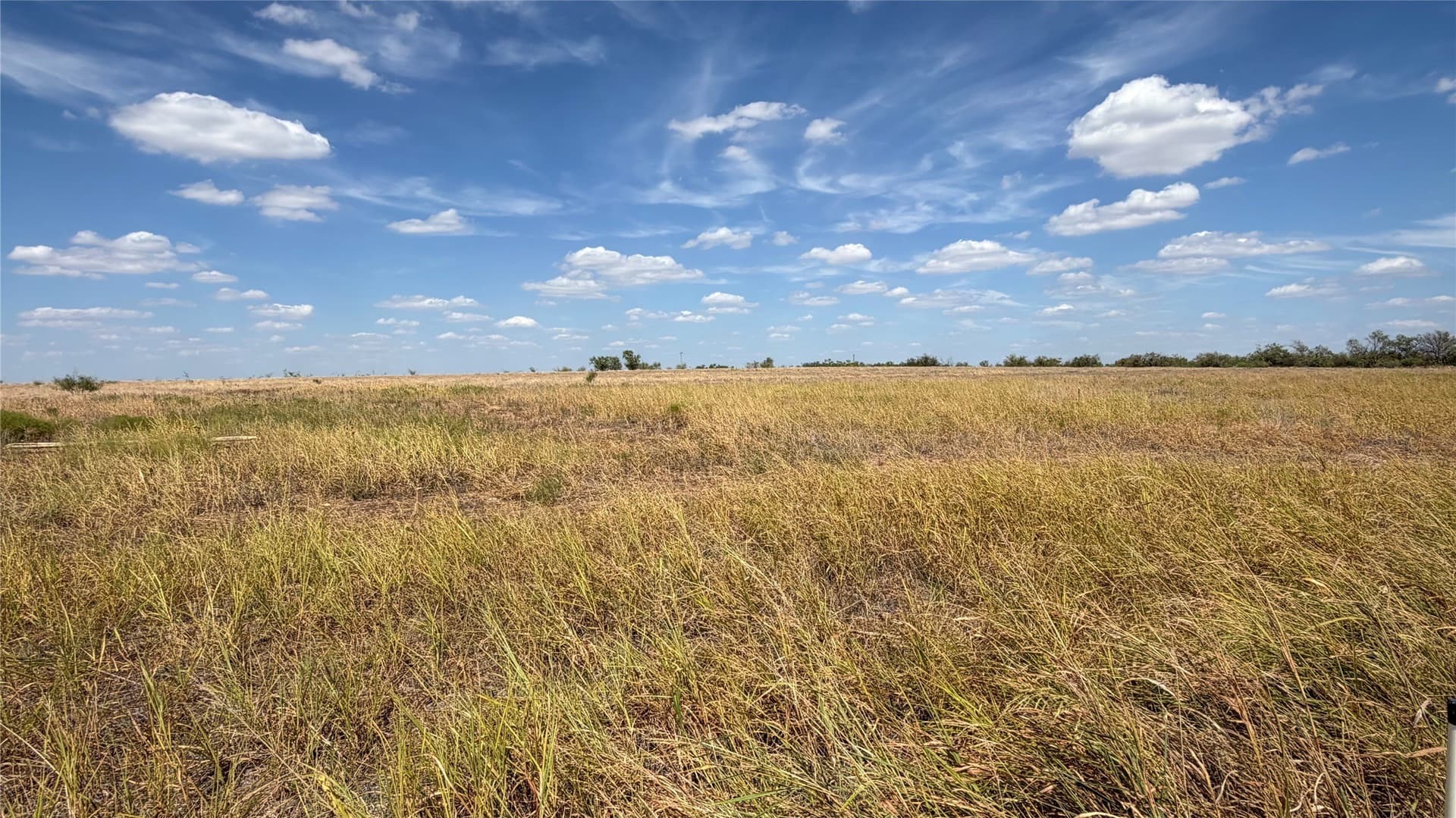 3.88 acres in Shackelford County - photo 3