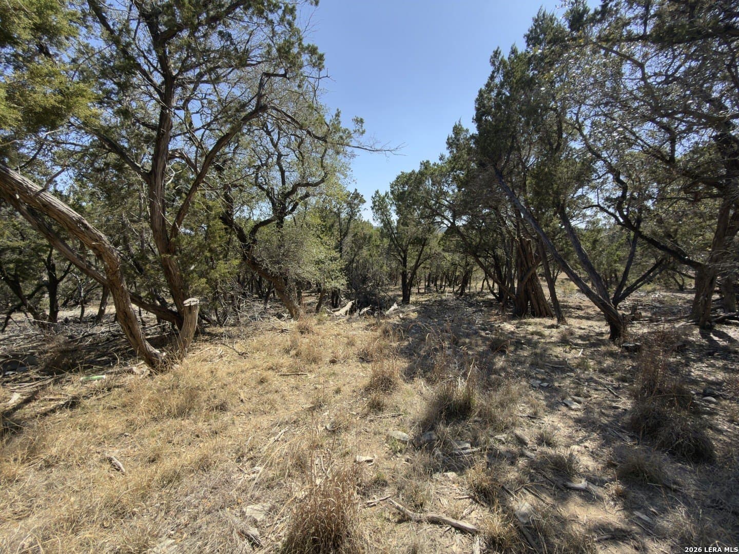1.26 acres in Comal County - photo 6