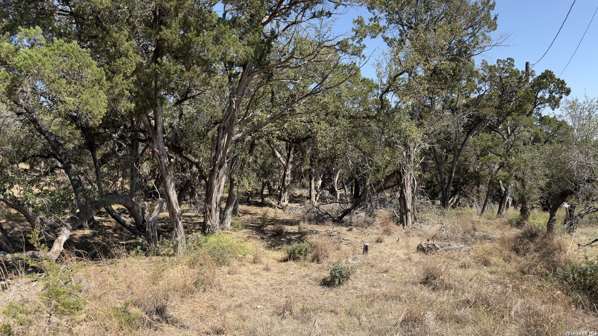 1.26 acres in Comal County - photo 30