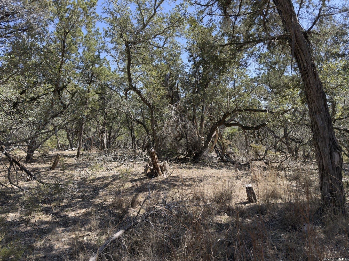 1.26 acres in Comal County - photo 32