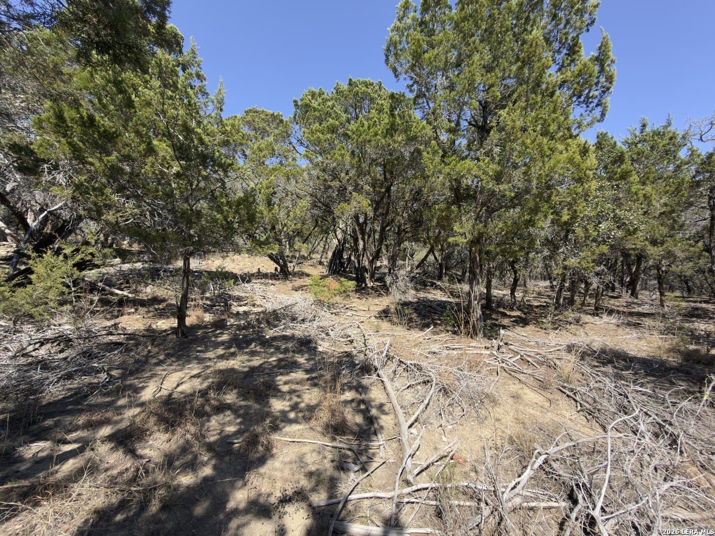 1.26 acres in Comal County - photo 5
